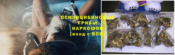 тгк Абинск