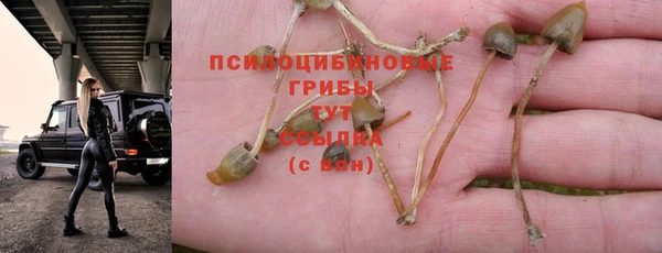 эйфоретик Абаза