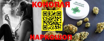 Альфа ПВП Бердск