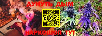 Альфа ПВП Бердск