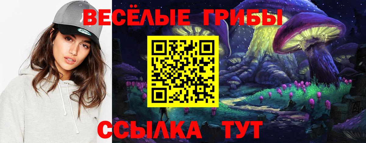 Псилоцибиновые грибы GOLDEN TEACHER  Вход с VPN  Красноперекопск 